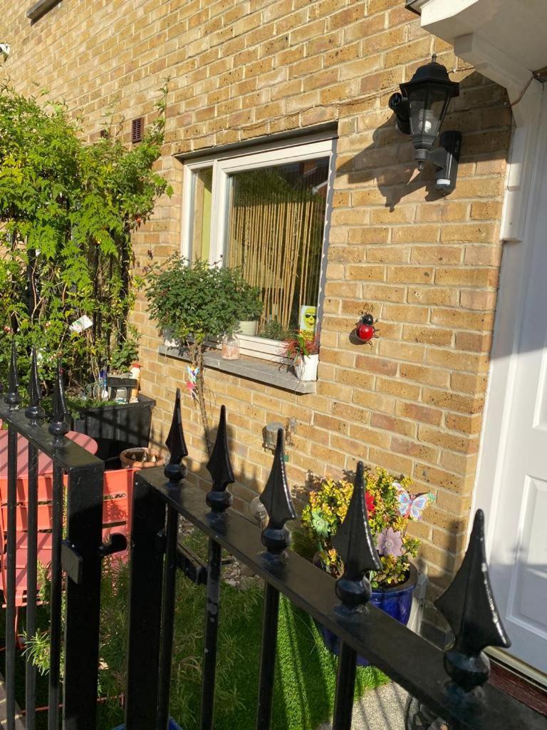 Penge Luxury Retreat Gazde/Camere de închiriat *